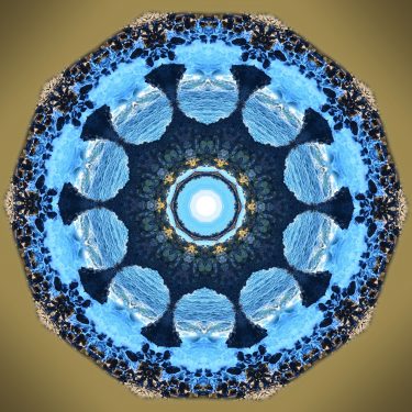 D Grid 18 375x375 - Dolphin's Grid
