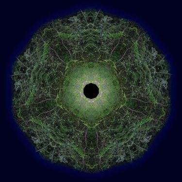 D Grid 2 375x375 - Dolphin's Grid
