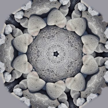 D Grid 20 375x375 - Dolphin's Grid