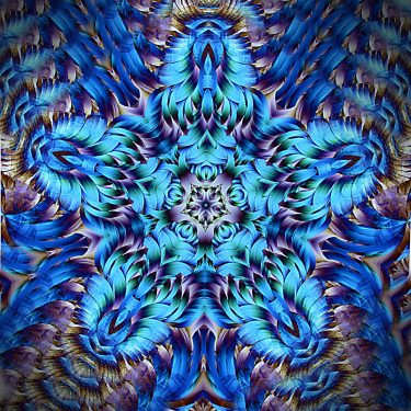 matter 11 375x375 - Matter