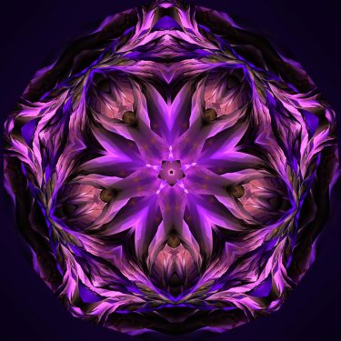 matter 13 375x375 - Matter