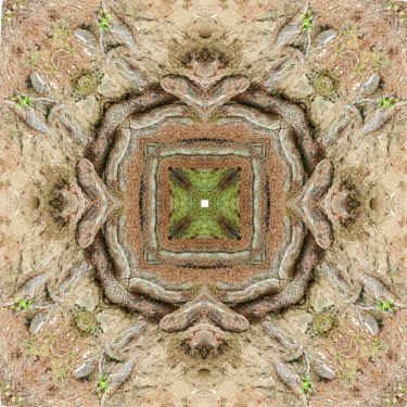 nature 12 375x375 - Natur