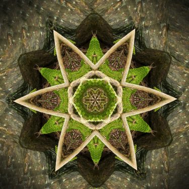 nature 14 375x375 - Natur