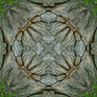 nature 15 375x375 - Natur