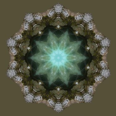 nature 2 375x375 - Natur