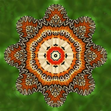 nature 20 375x375 - Natur