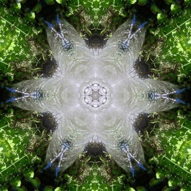 nature 22 375x375 - Natur