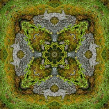 nature 32 375x375 - Natur