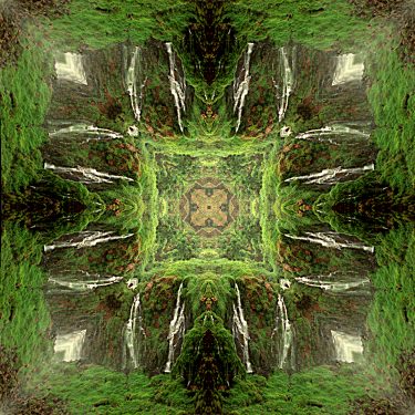 nature 37 375x375 - Natur