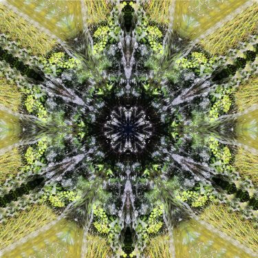 nature 7 375x375 - Natur